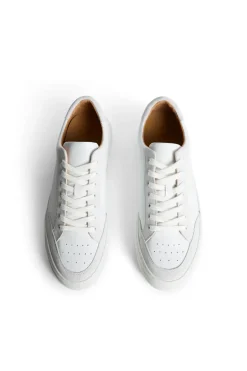 Fashion Art Signature Leather Sneaker Motesko|Shoes