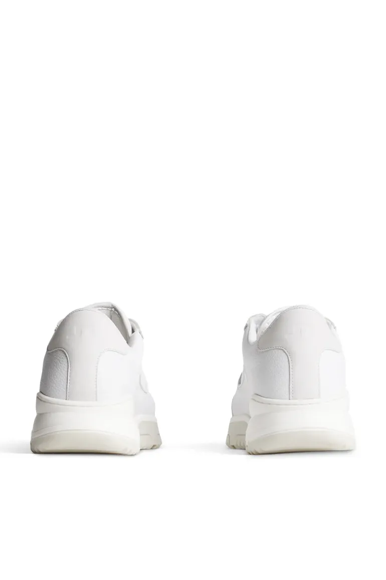 Shop Hoop LT Sneaker Motesko|Shoes